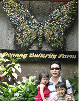 butterflyfarm1